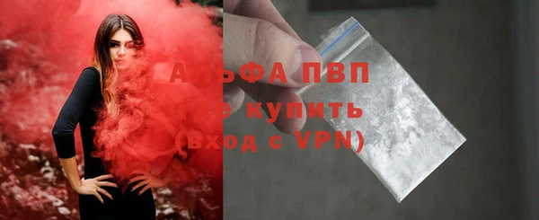 индика Кирсанов