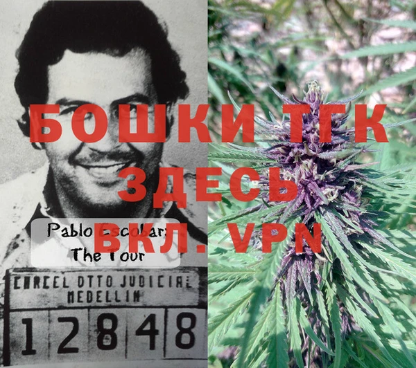 spice Кирс