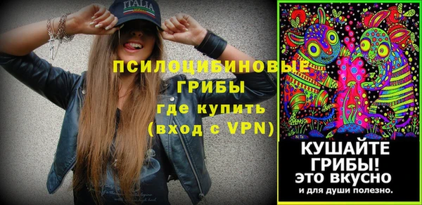 mdpv Протвино