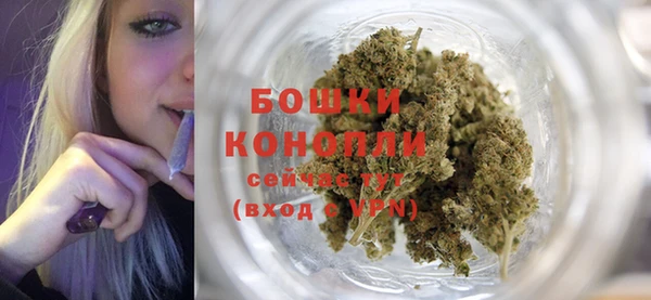 ГАЛЛЮЦИНОГЕННЫЕ ГРИБЫ Пролетарск